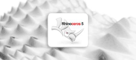 Rhinoceros 3D